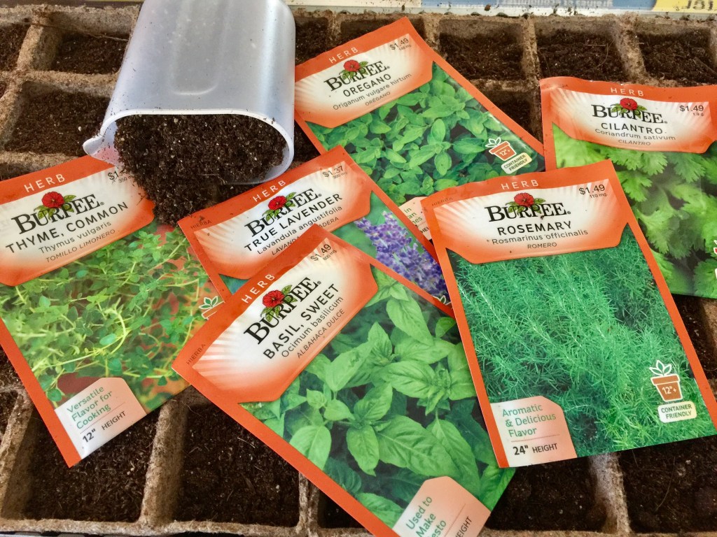 Our indoor herb&nbsp;garden