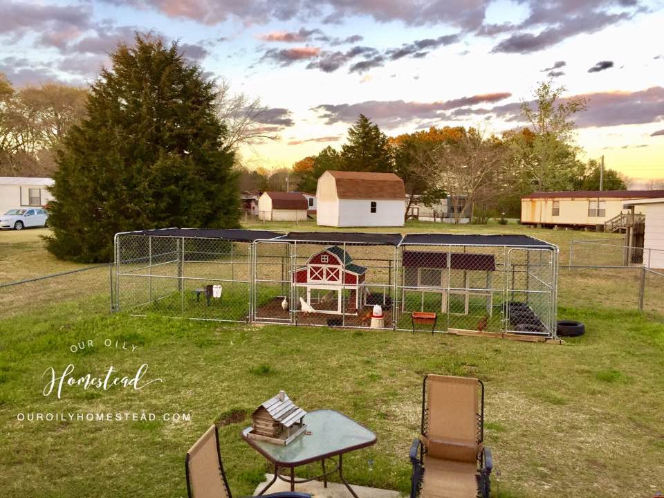 18424094_10154279793916910_3568595082123084047_n