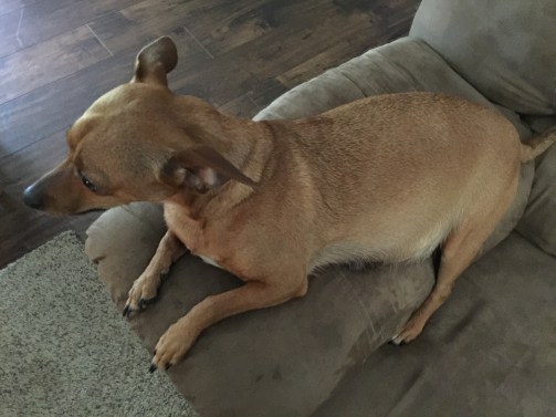 6C59B410-CA4A-41AD-97D6-D8916FF23E59