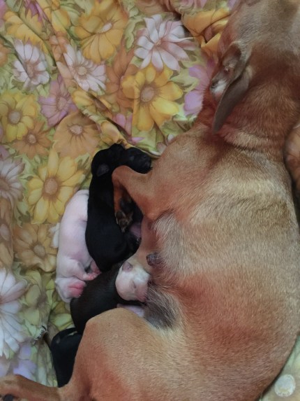 AFABD20A-990C-4BA1-ADBC-E5F8379C6093